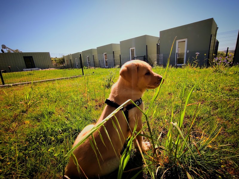 Quinta dos Pomares - Pet Care - foto 3