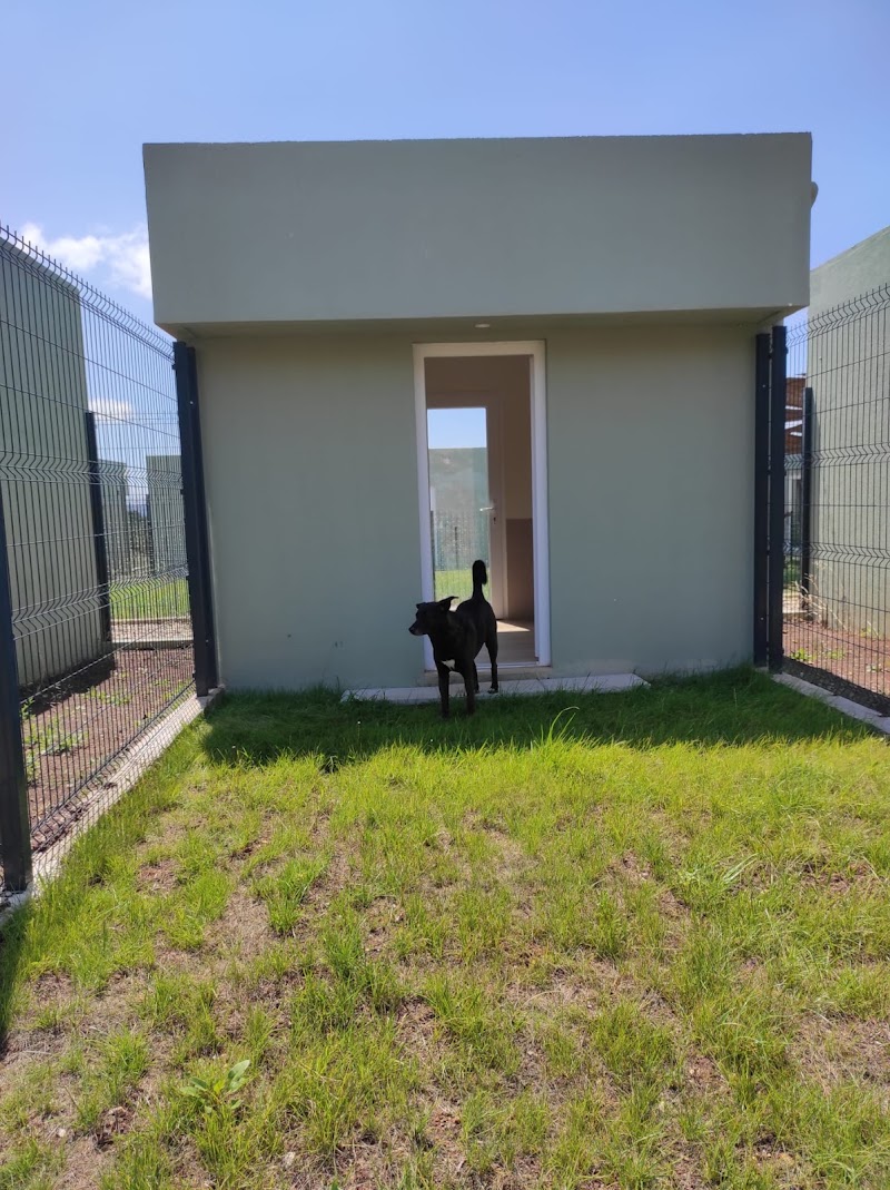 Quinta dos Pomares - Pet Care - foto 4
