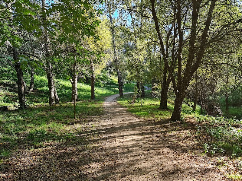 Parque da Cidade - foto 5