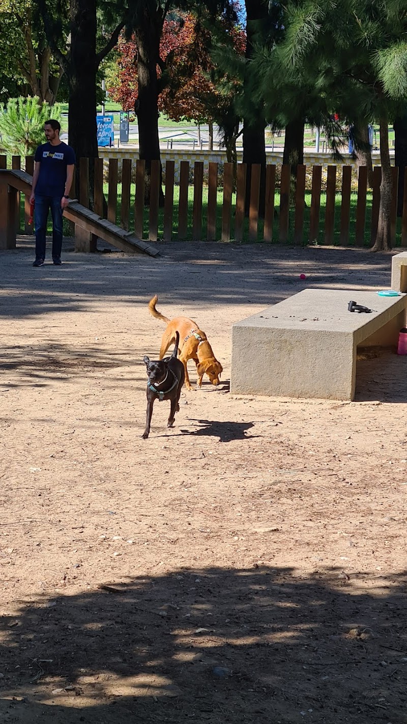 Parque Canino do Jardim Mário Soares - foto 3