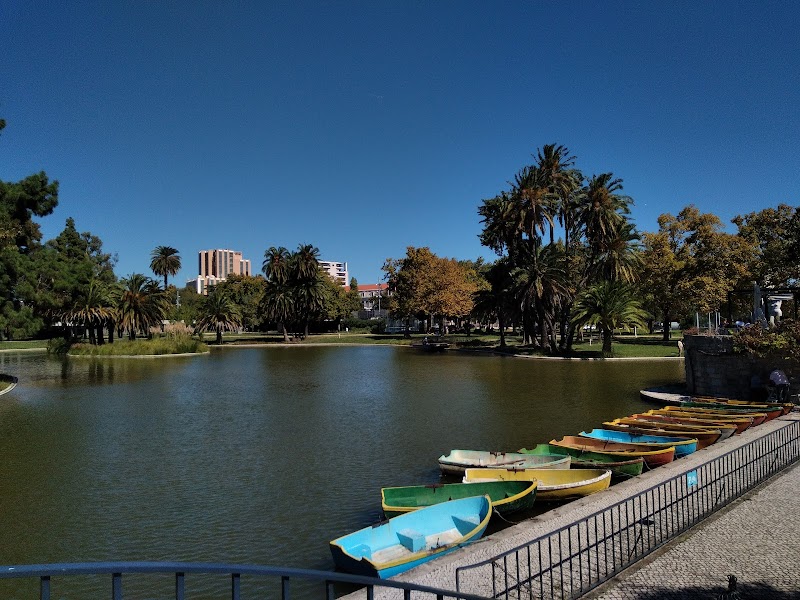 Parque Canino do Jardim Mário Soares - foto 5