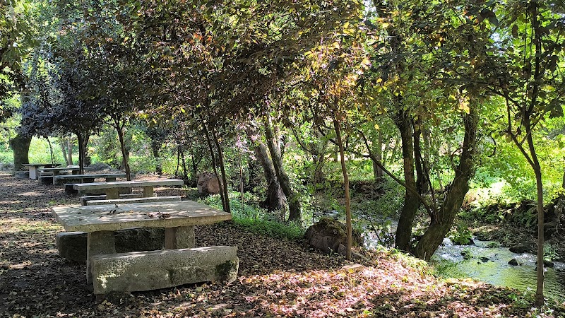 Parque Lazer Gondifelos - foto 2