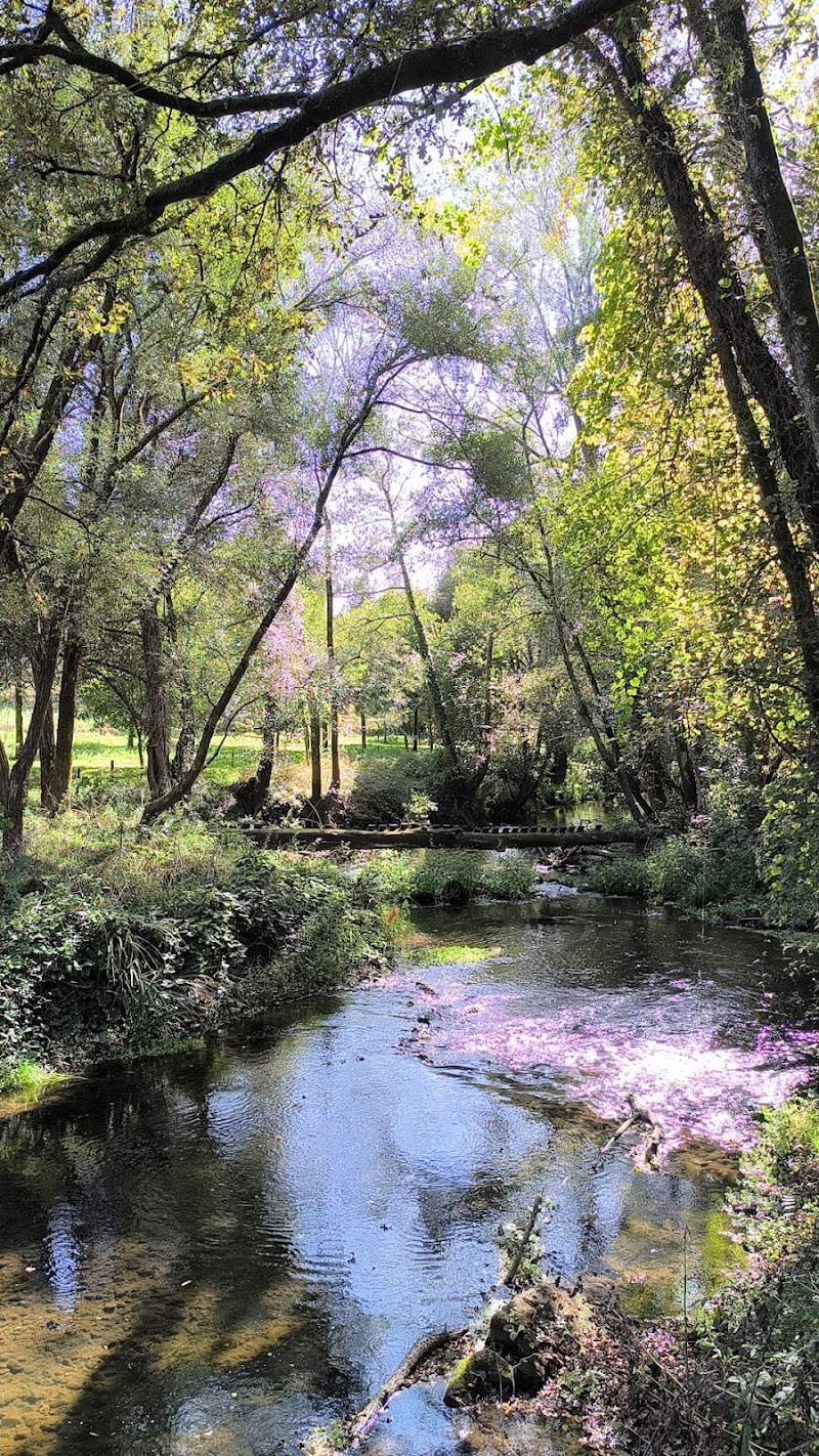 Parque Lazer Gondifelos - foto 3