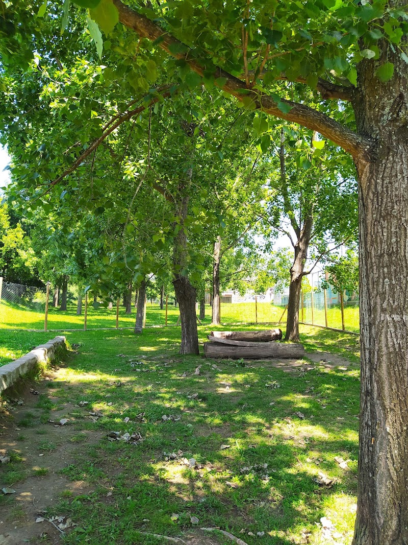 Parque Canino da Seara
