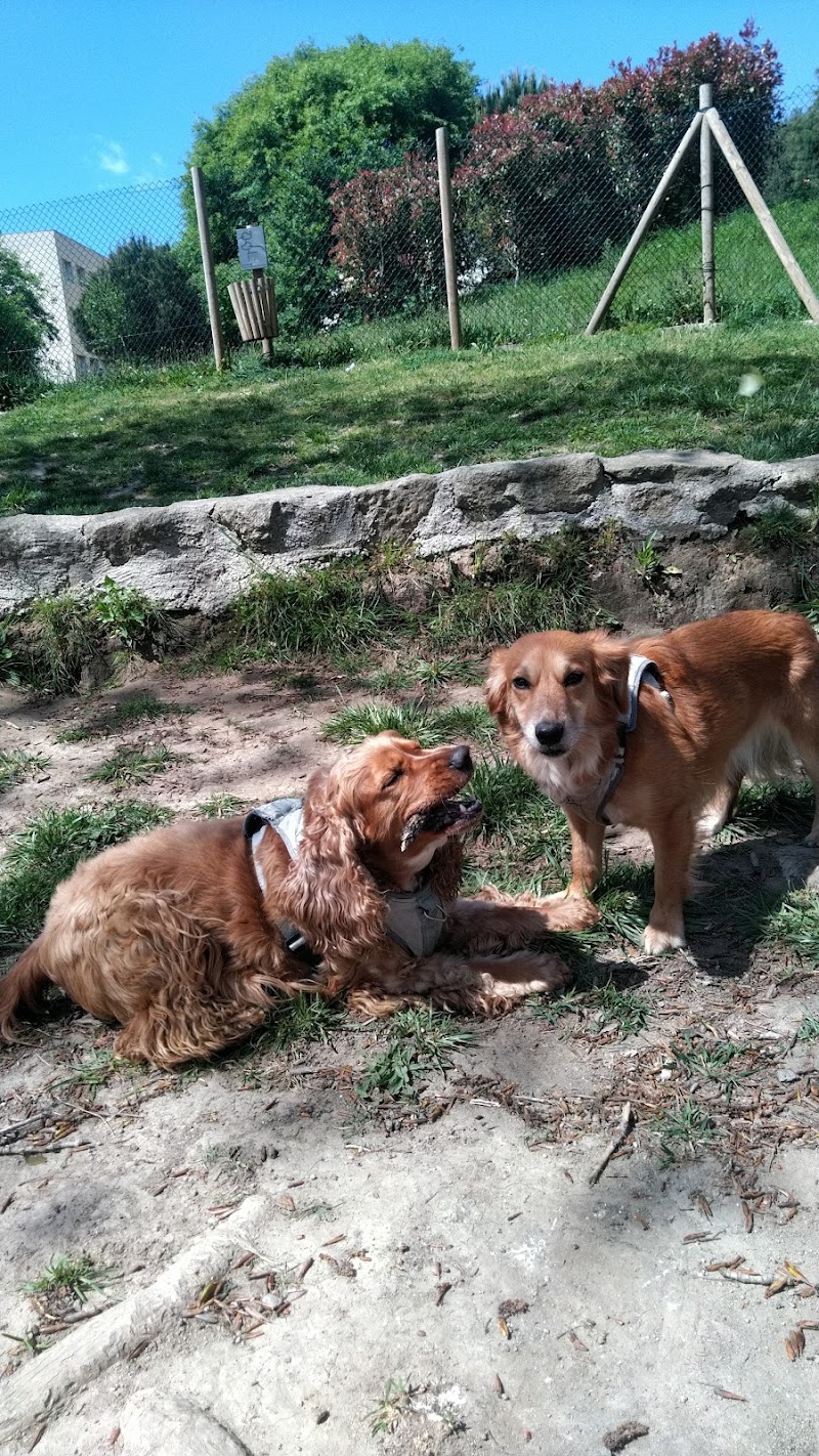Parque Canino da Seara - foto 2