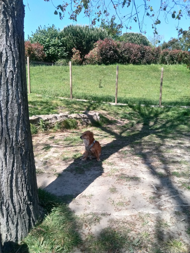 Parque Canino da Seara - foto 5