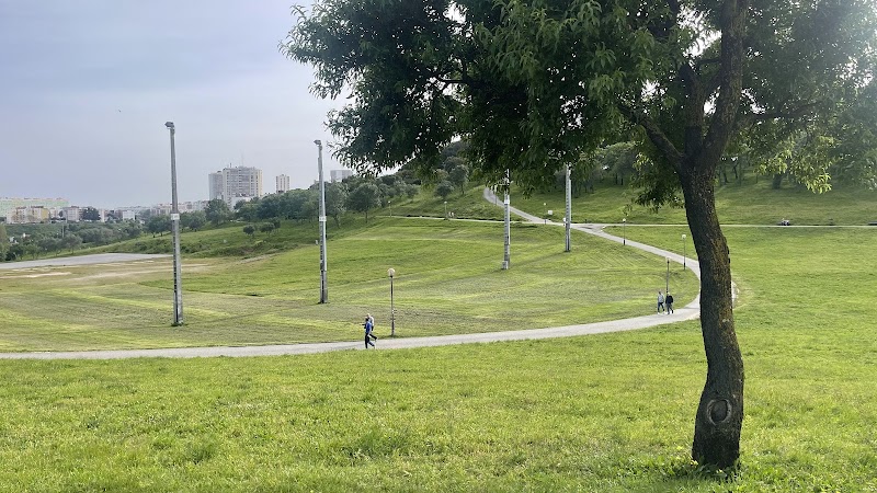 Parque Canino do Parque da Bela Vista - foto 2