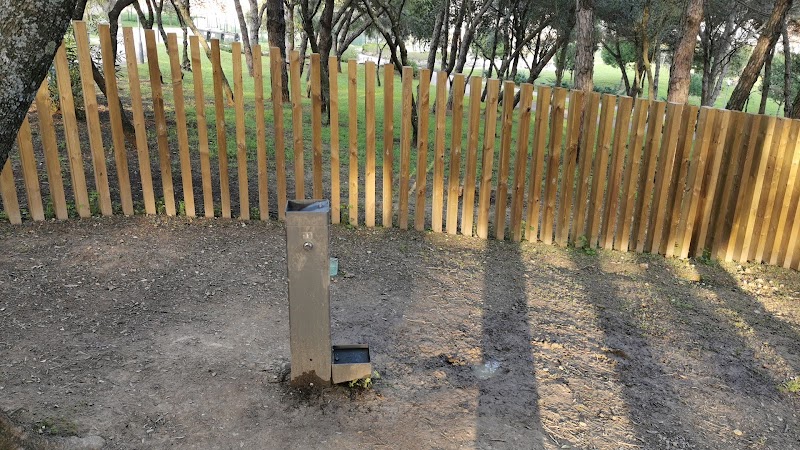 Parque Canino do Parque da Bela Vista - foto 4