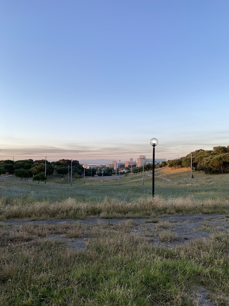 Parque Canino do Parque da Bela Vista - foto 5
