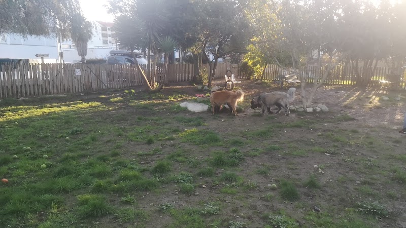 Parque Canino do Linhó - foto 3