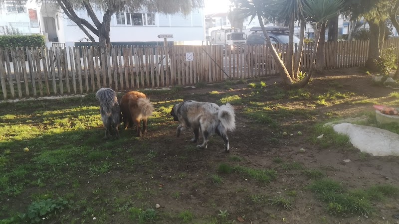 Parque Canino do Linhó - foto 4