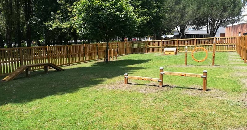 Parque para cães