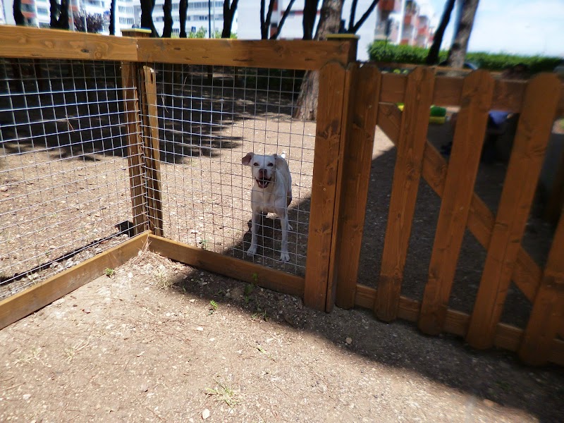 Parque canino da rotunda do cemitério - foto 3