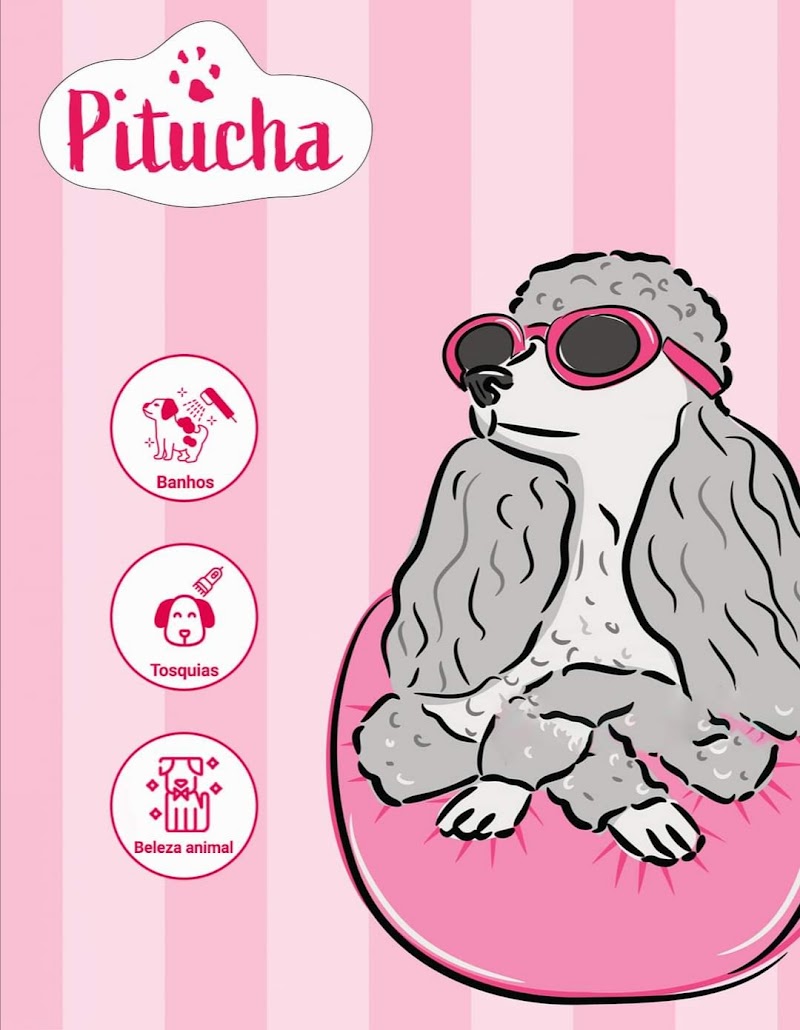 Pitucha