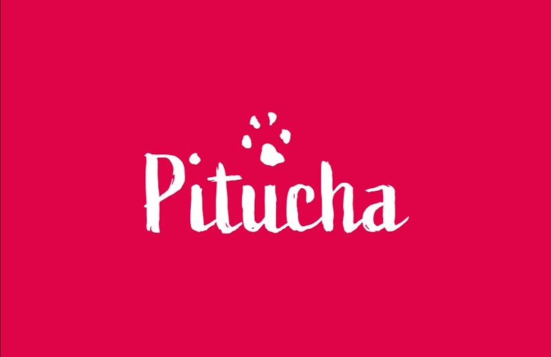 Pitucha - foto 2
