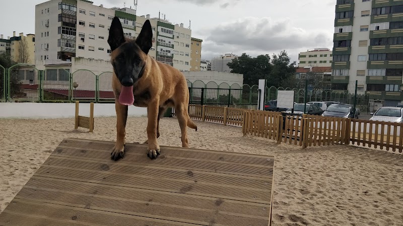 Parque Canino de Amora - foto 2