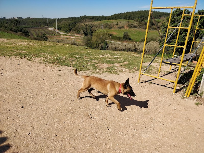 Parque Canino de Amora - foto 3