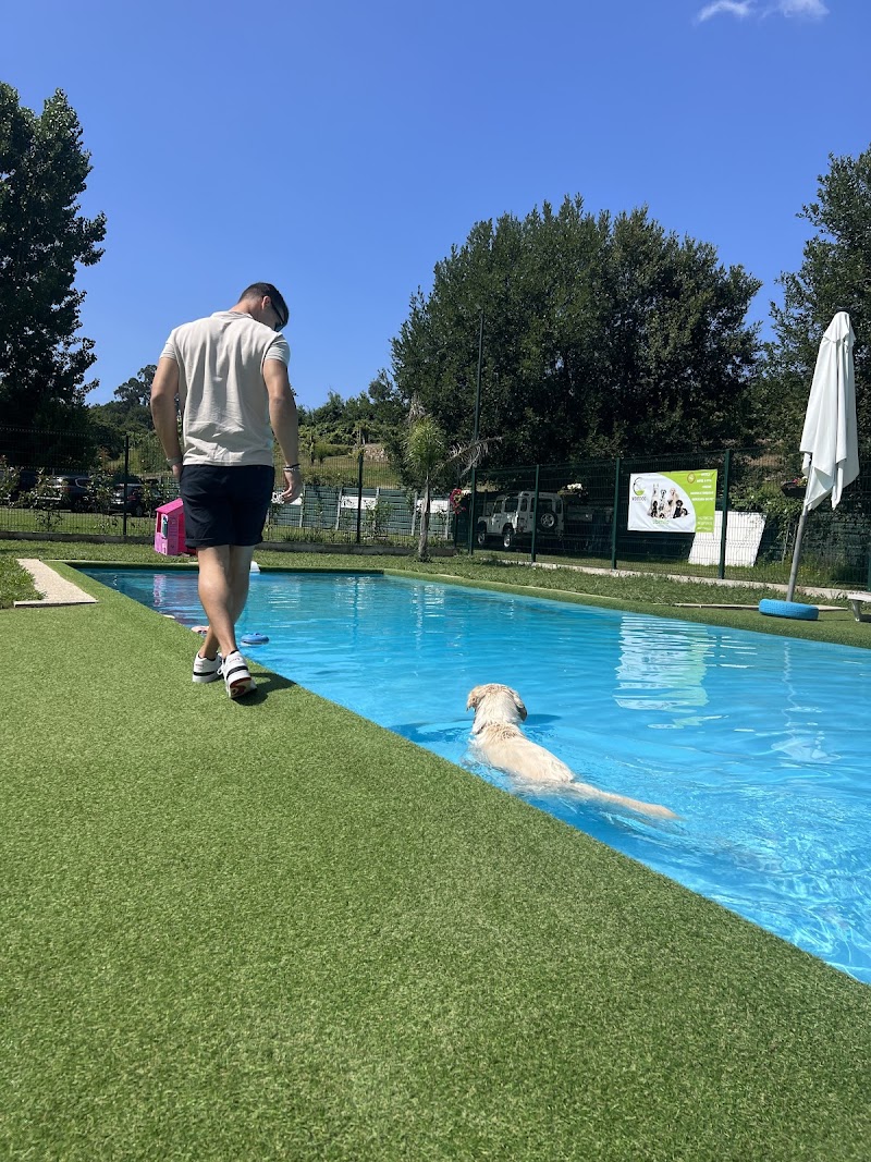Nortdog - Pet in Nature - foto 4
