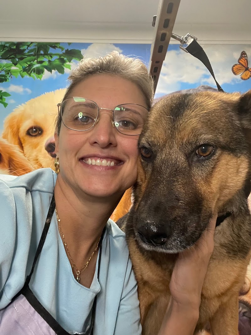 Pet Shop BillyBi Banho e Tosquia Lisboa - foto 4