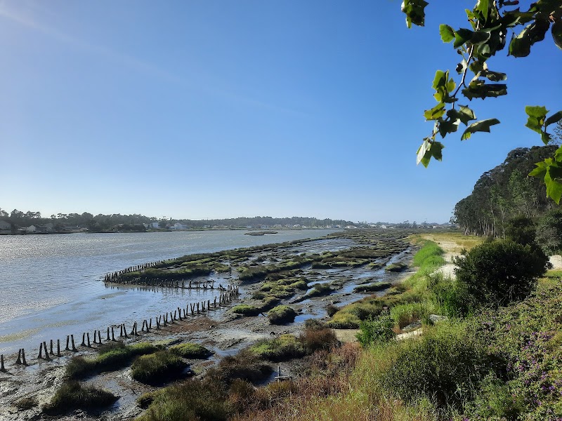 Parque de Merendas da Murteira - Vista Alegre