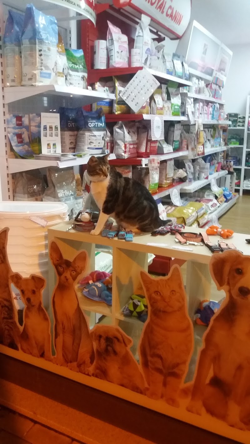 Terraços Pet Shop - foto 2