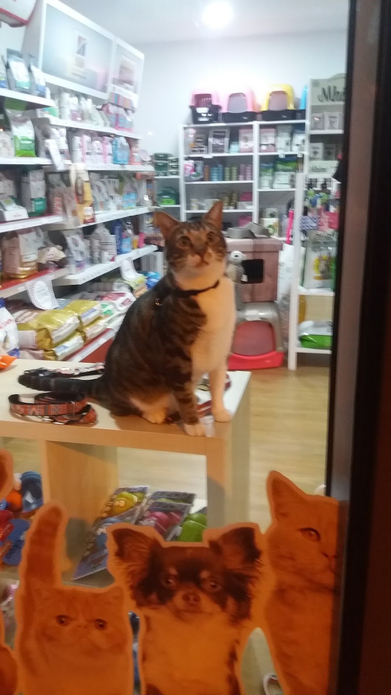 Terraços Pet Shop - foto 3