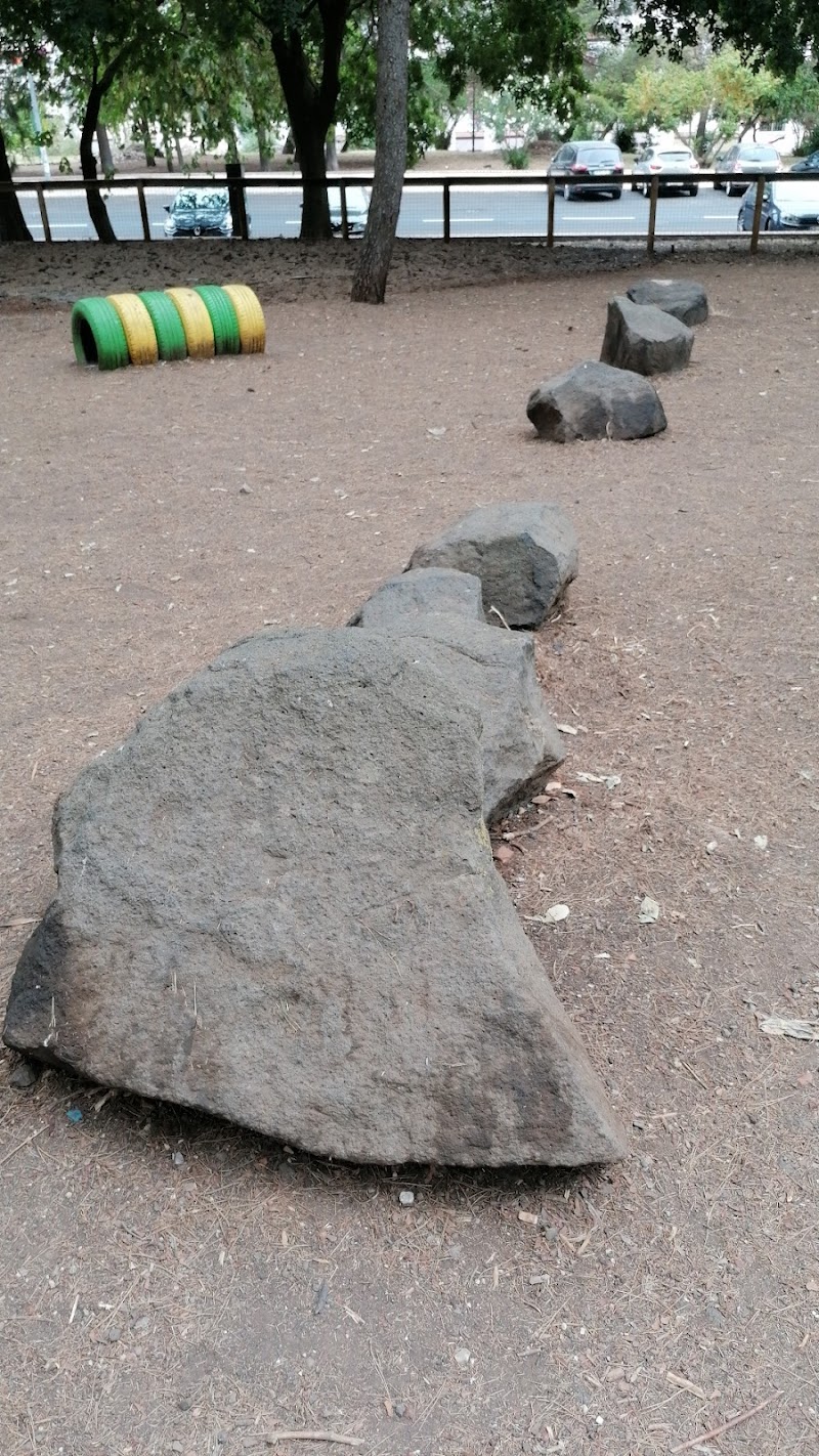 Parque Canino - foto 4