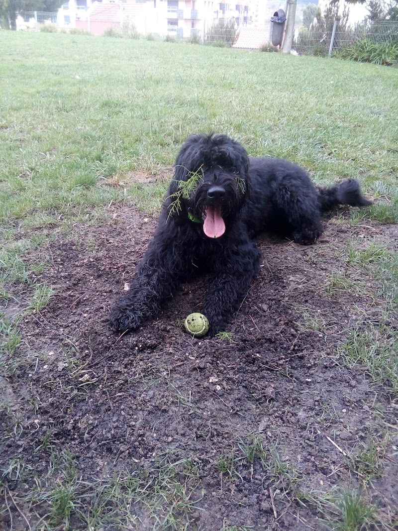 Parque Canino Quinta da Formiga - foto 2