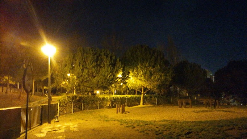 Parque Canino Quinta da Formiga - foto 3