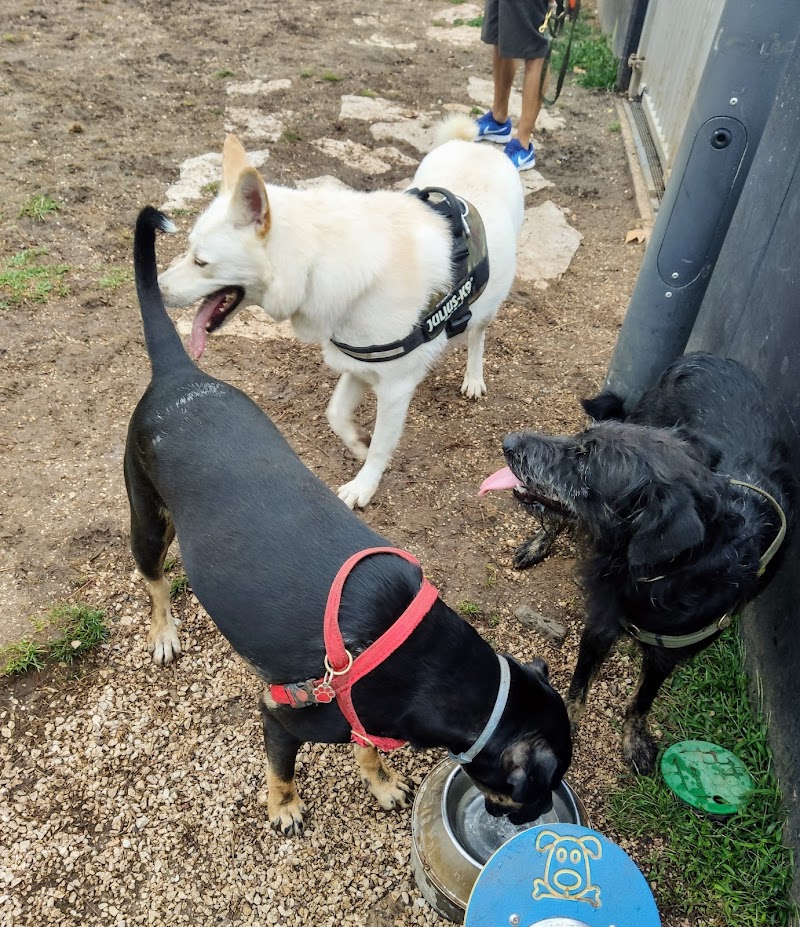 Parque Canino Quinta da Formiga - foto 5
