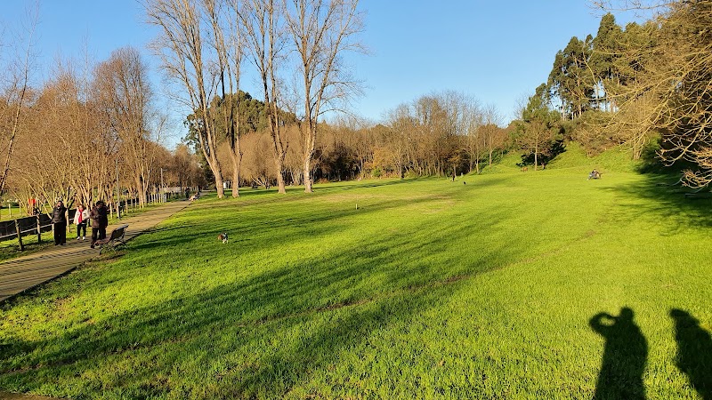 Parque de Picoutos - foto 2